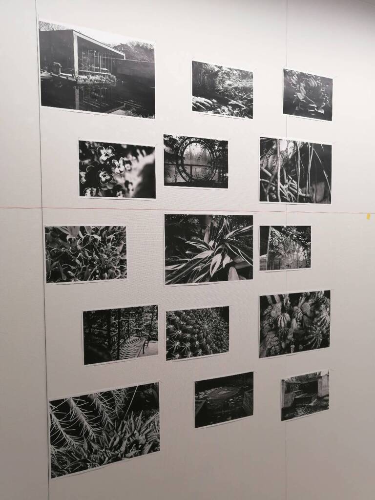 ニコンプラザ大阪 2024