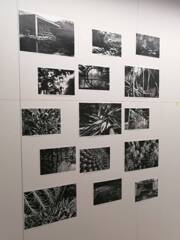 ニコンプラザ大阪 2024