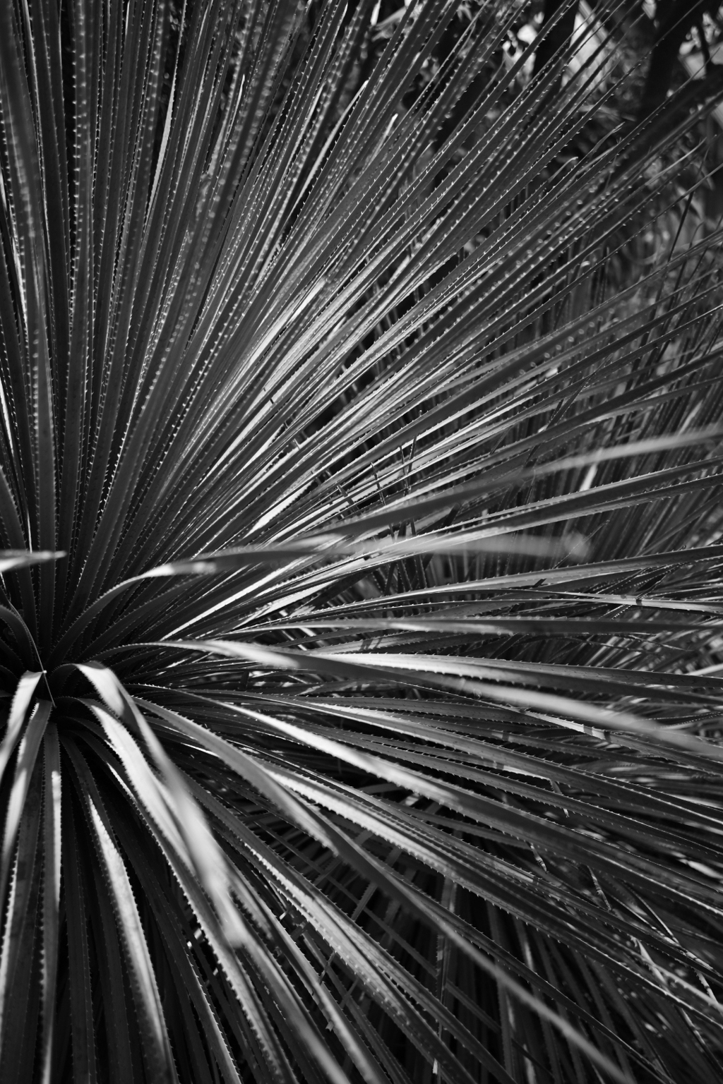 京都府立植物園 #04