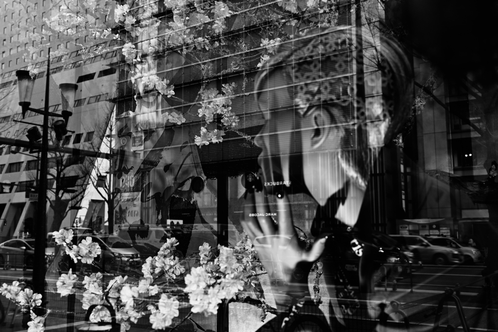 Show window C01