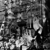 Show window C01