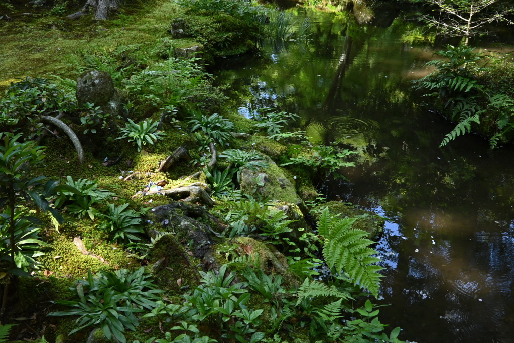 三千院 #04