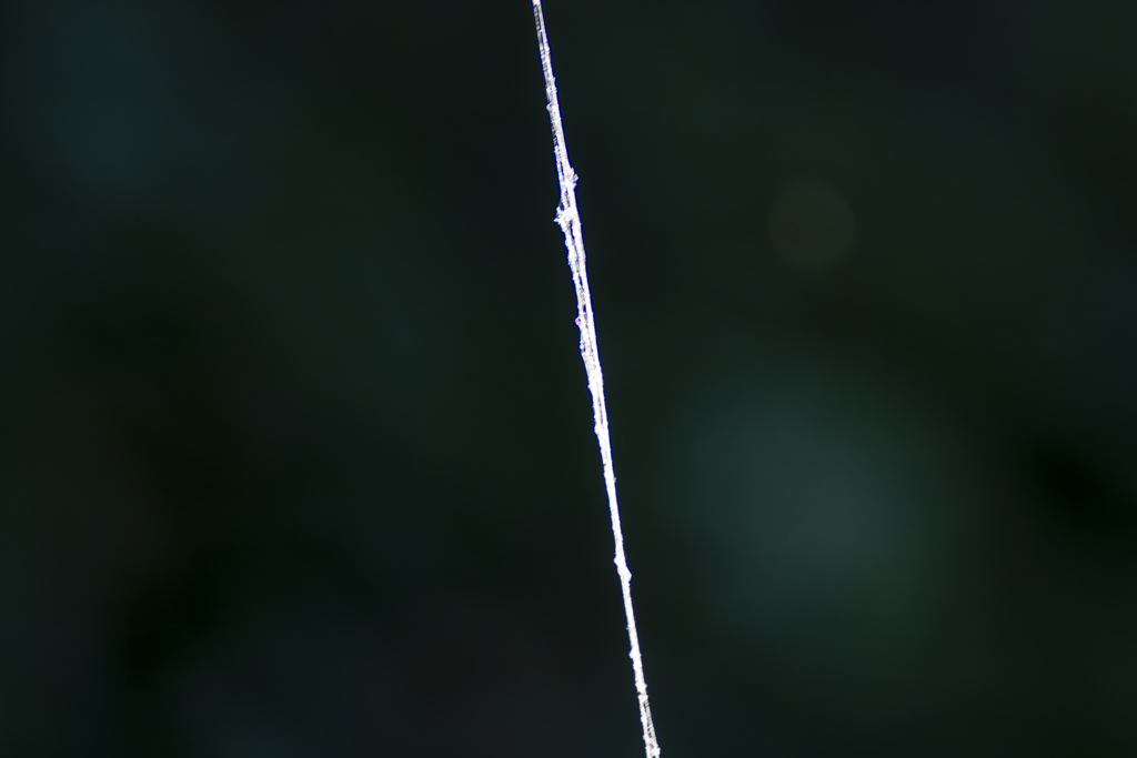 糸