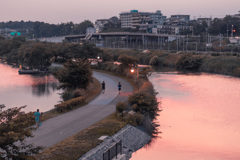 夕日に照らされて