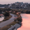 夕日に照らされて