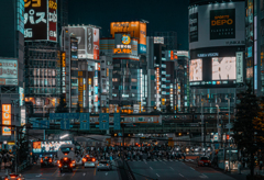 夜はこれから