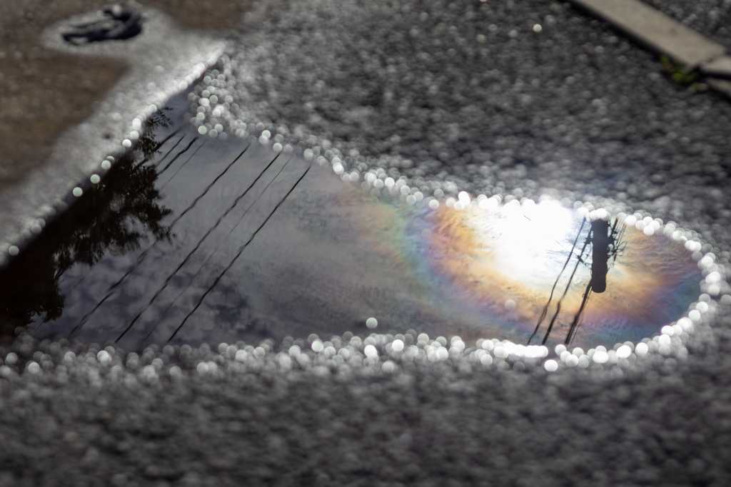 雨上がりの朝