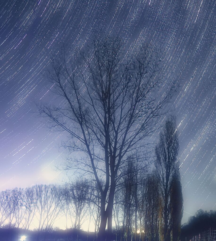 星降る高原の夜