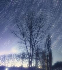 星降る高原の夜