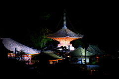 尾道　浄土寺多宝塔の夜景