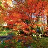奥の池