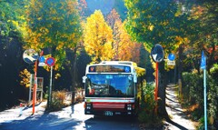 京王稲田堤駅から