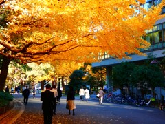 日比谷文化図書館