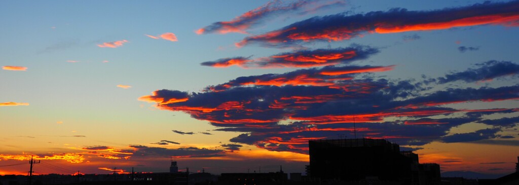 禍々しい夕焼け