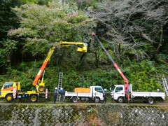 トイモードじゃありません