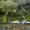 トイモードじゃありません