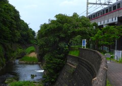 県境で急停車