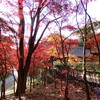 紅葉の色もやや渋く
