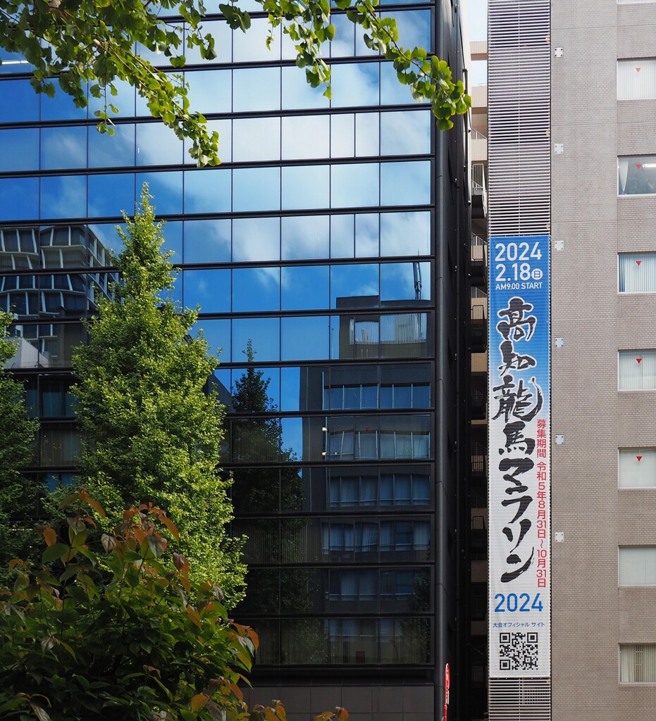 高知龍馬マラソン