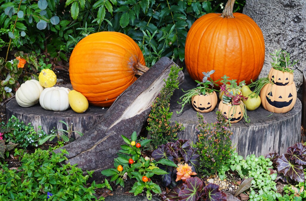 ハロウィン一色