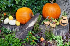 ハロウィン一色