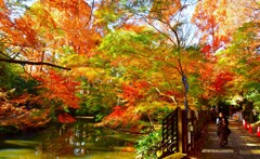 奥の池