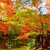 奥の池