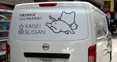猫好き？