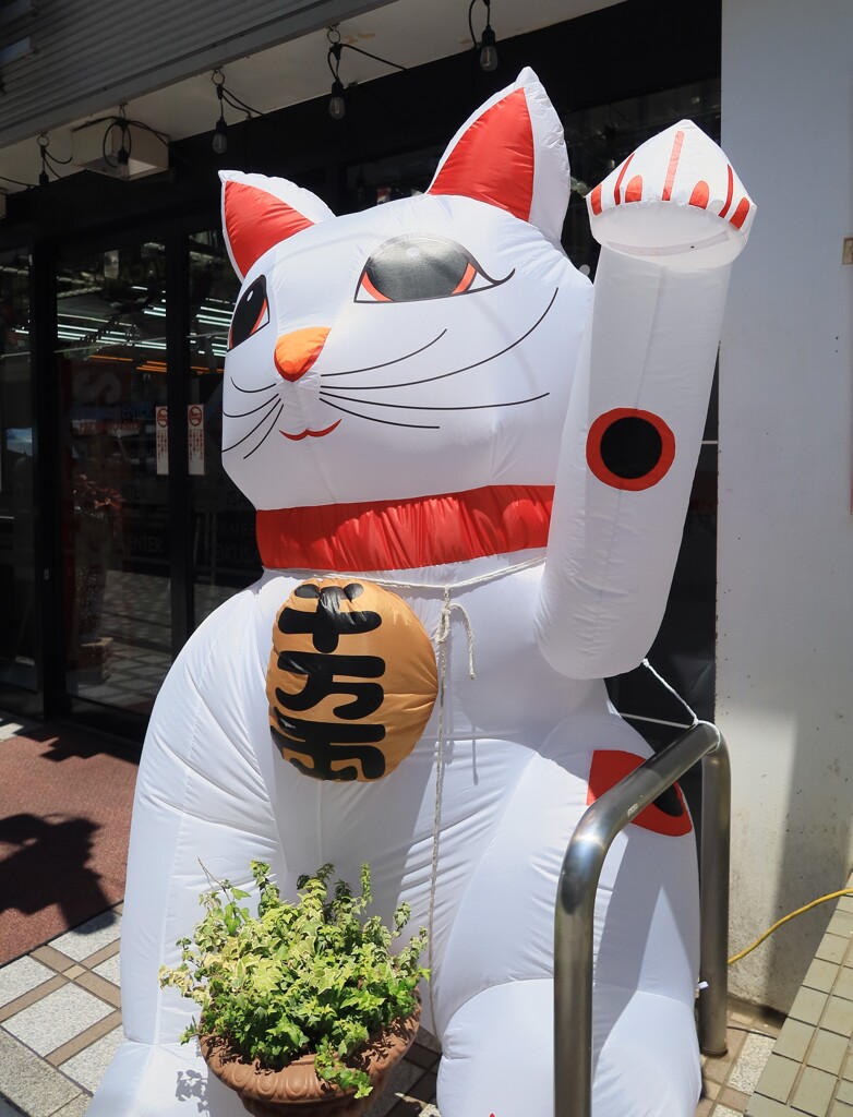 中野駅前招き猫
