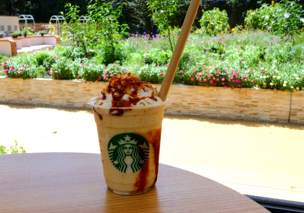 焼き芋 香ばしカラメル フラペチーノ