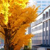 財務省始まって以来の危機