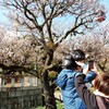手をあげて～