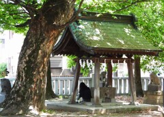 青渭神社