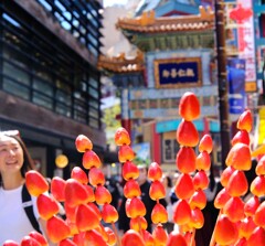 美女とサンザシのお菓子