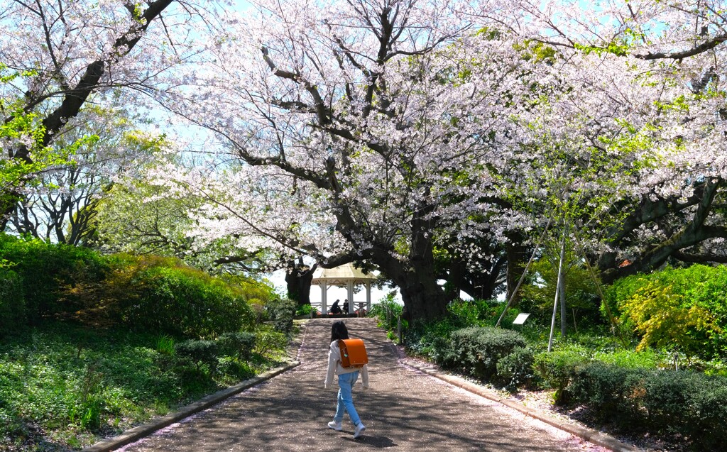 やはりダメか