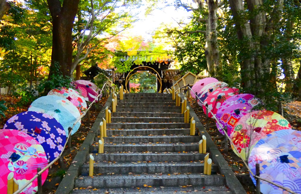 久しぶりのHANA＊BIYORI
