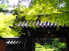 聖門
