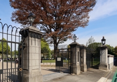 国民公園　皇居外苑半蔵門園地