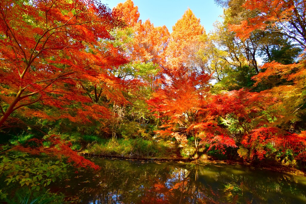 奥の池