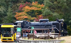 D51と紅葉と