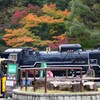 D51と紅葉と