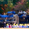 生田キッズ幼稚部