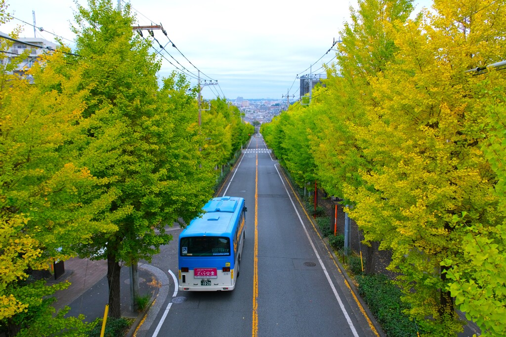 日テレ生田スタジオ坂