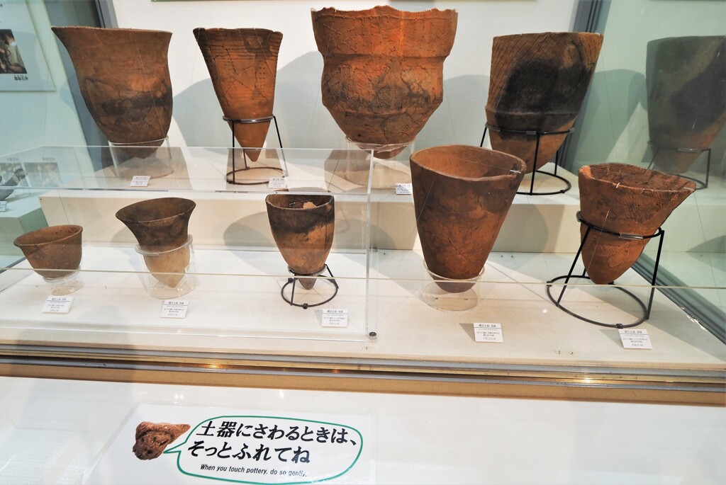 え！触っていいの？