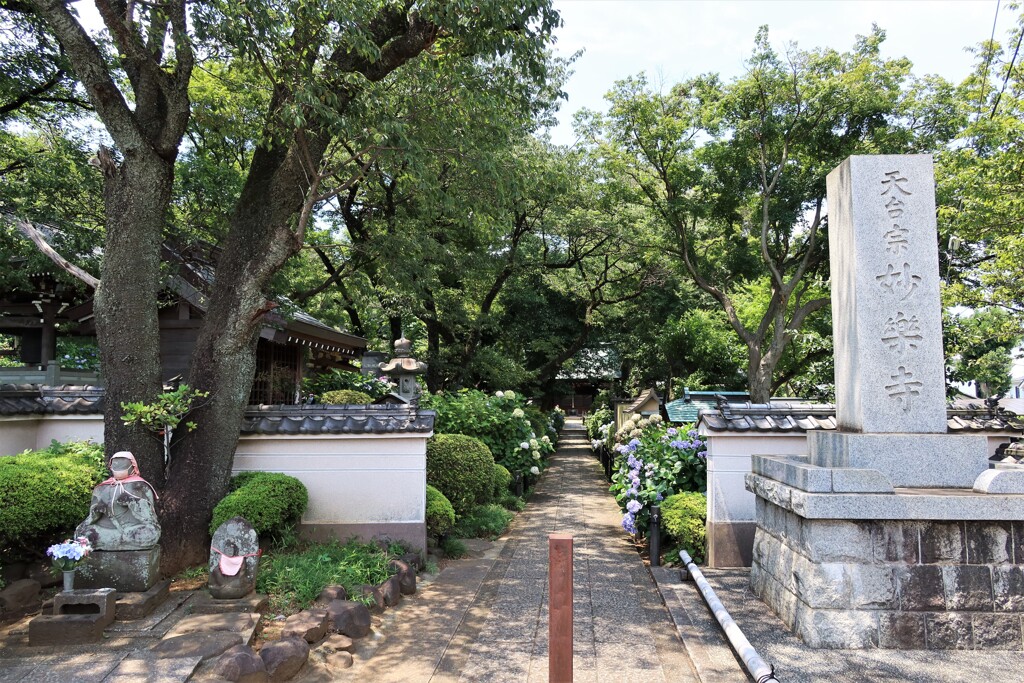 妙楽寺
