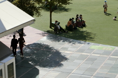穏やかな雰囲気の空間
