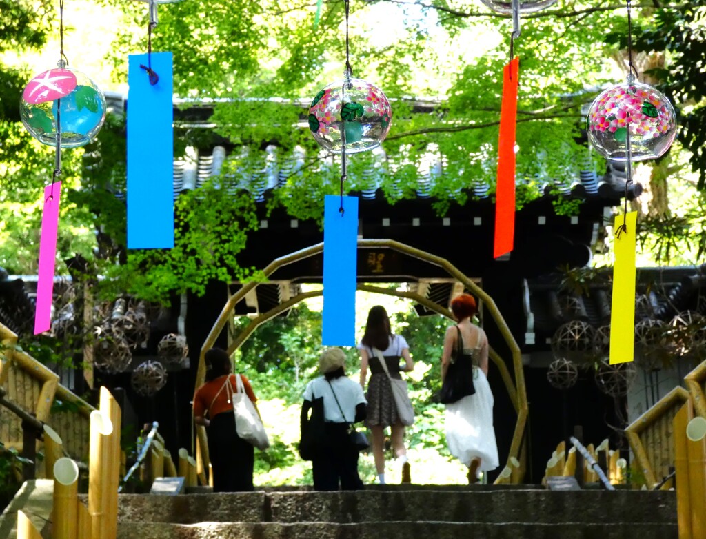 晩夏