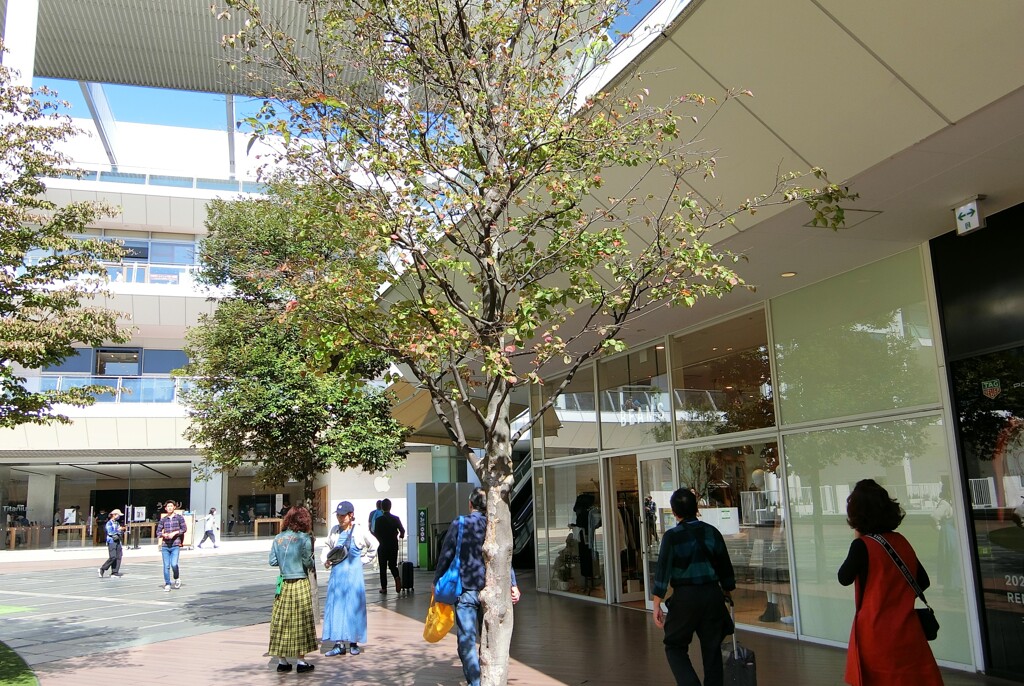 ラゾーナ川崎プラザ