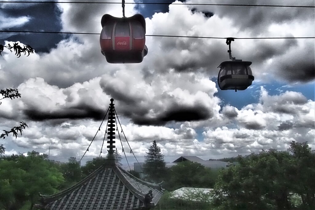 釈迦如来殿から