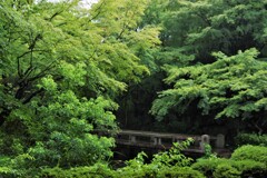 ブロンド女性と雨宿り